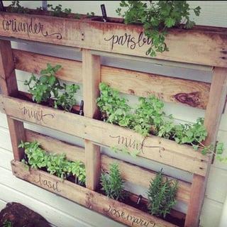 Herb Wall.gif