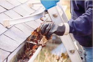 gutter cleaning, fall, leaves, home improvement