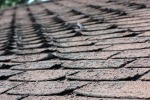 roof, damage, shingles
