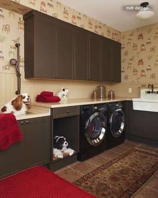 Laundry room with dog washing station