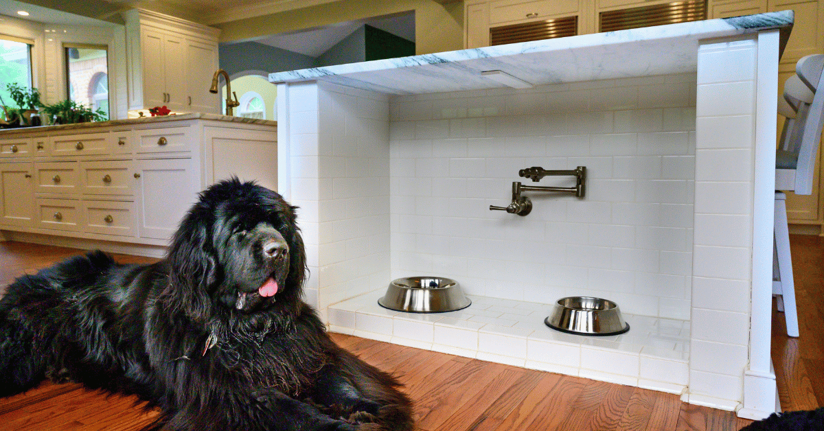Levenstein_Dog bowl
