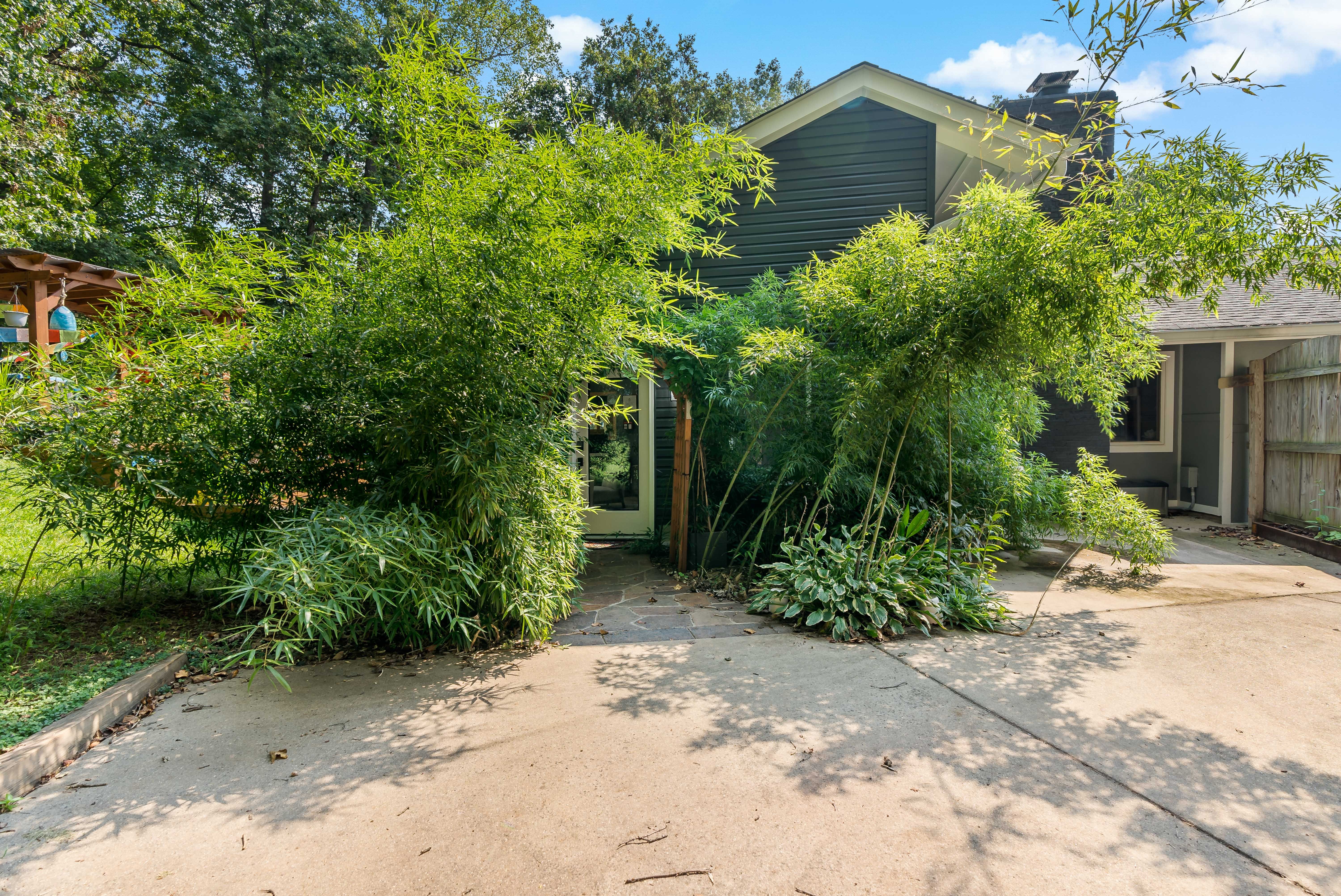 Trees outside of Sterling home