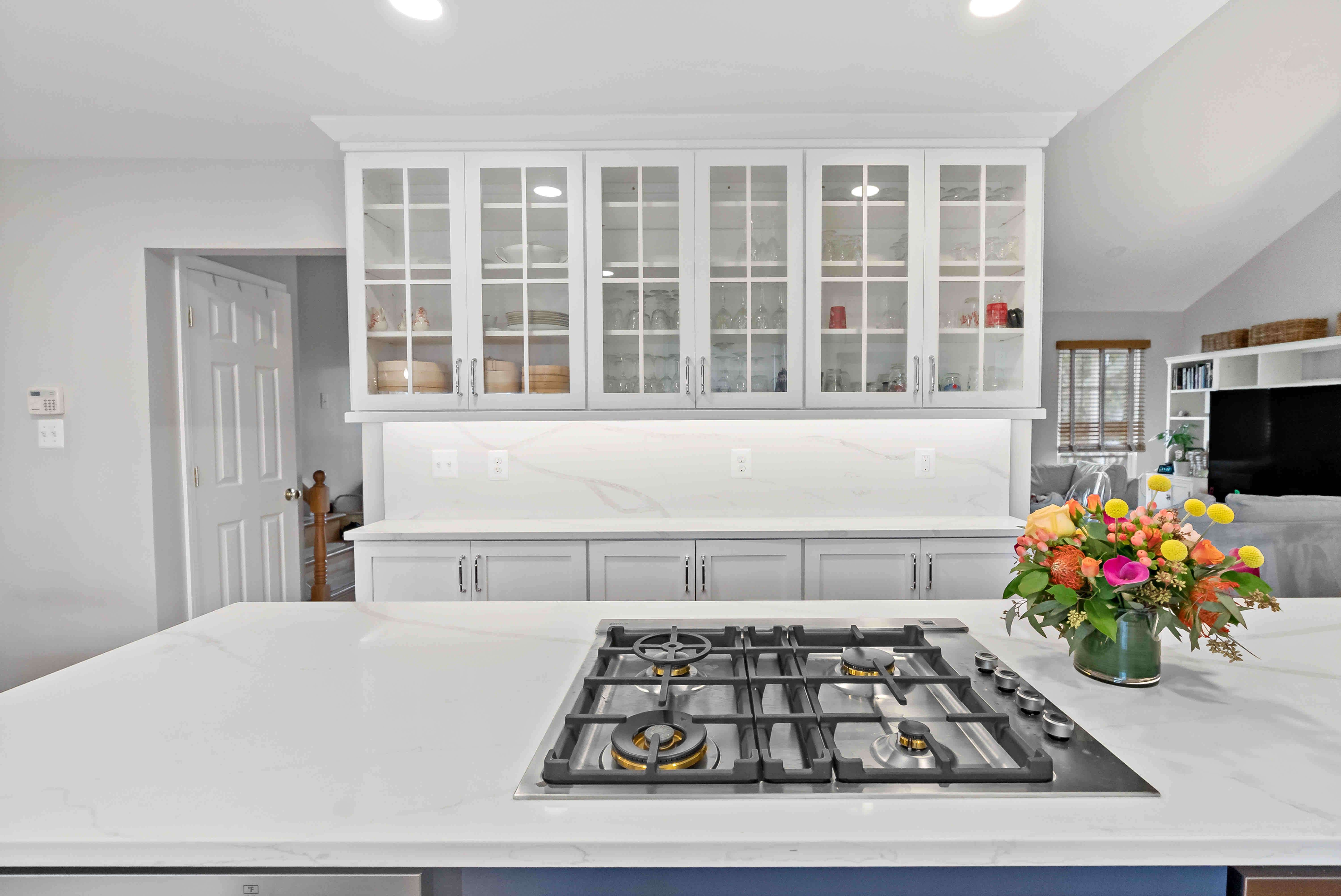 Glass white cabinets and white countertops