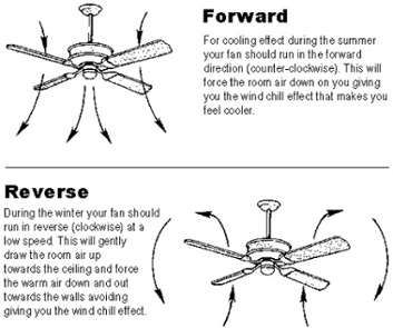 ceiling-fan-1.jpg
